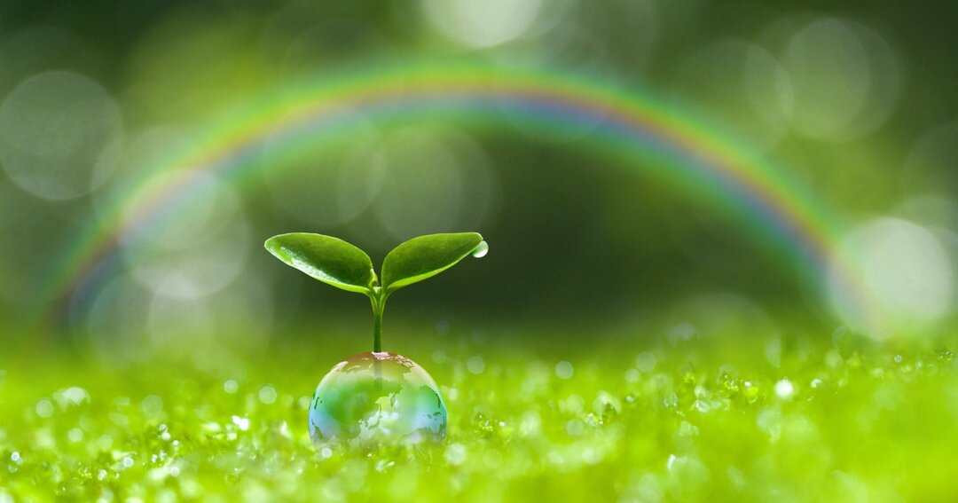 天才たちの医学史 生物学を大きく進歩させた織物商人が発見した 驚くべき世界 すばらしい人体 ダイヤモンド オンライン