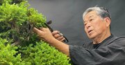 中国マネーが「日本の盆栽」へ！アリババ創業者も1000万円お買い上げ、腕利き職人は給料倍増