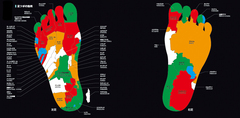 「足ツボ」の図から発想した地図のビジュアルアフリカ＆南アメリカ2大陸に見立てていく