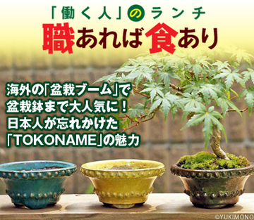 海外の「盆栽ブーム」で盆栽鉢まで大人気に！日本人が忘れかけた「TOKONAME」の魅力