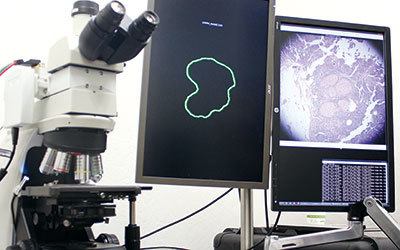 グーグルのAR顕微鏡