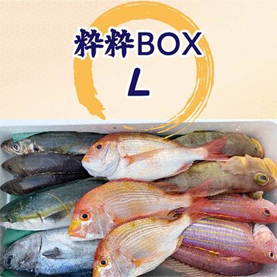 萩大島船団丸で販売している「粋粋BOX L」2万1600円。その時々に獲れた新鮮な魚が約3kg届く。Photo: GHIBLI