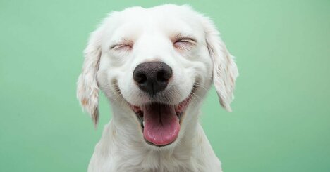 欲しいものを“あえて買わない人”ほど幸せになる。その深すぎる理由