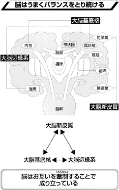 脳はうまくバランスをとり続ける