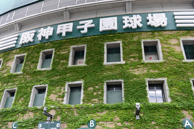夏の甲子園の裏で、阪神タイガースは毎年「死のロード」を繰り広げているが、近年は様相が変わっている