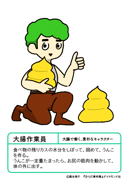 ダイエットすると、便秘になるのはなぜ?