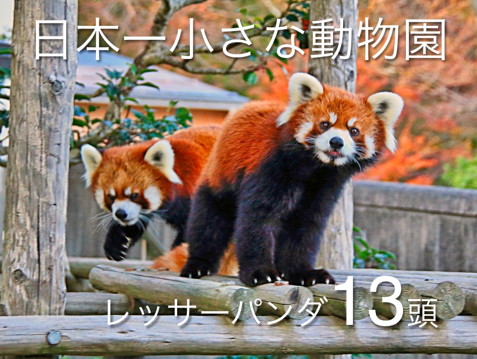 なぜ、いま小中学生を対象とする<br />「プレゼン講座」が増えつつあるのか?
