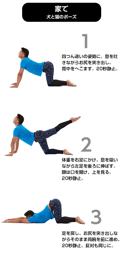 1日10分、初心者でも簡単にできる<br />ビジネス・パフォーマンスを上げるインド・ヨガ