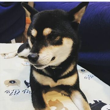 複数のサービスを組み合わせられる「Microsoft Flow」を活用するワザ