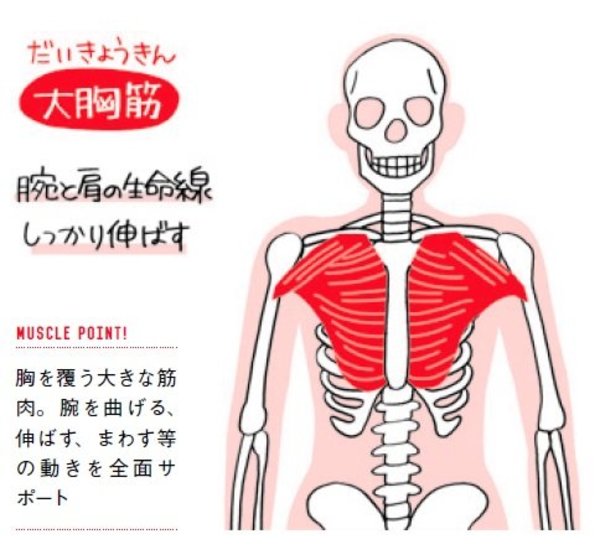 「肩がずっしり重い」と思ったら、このストレッチ！