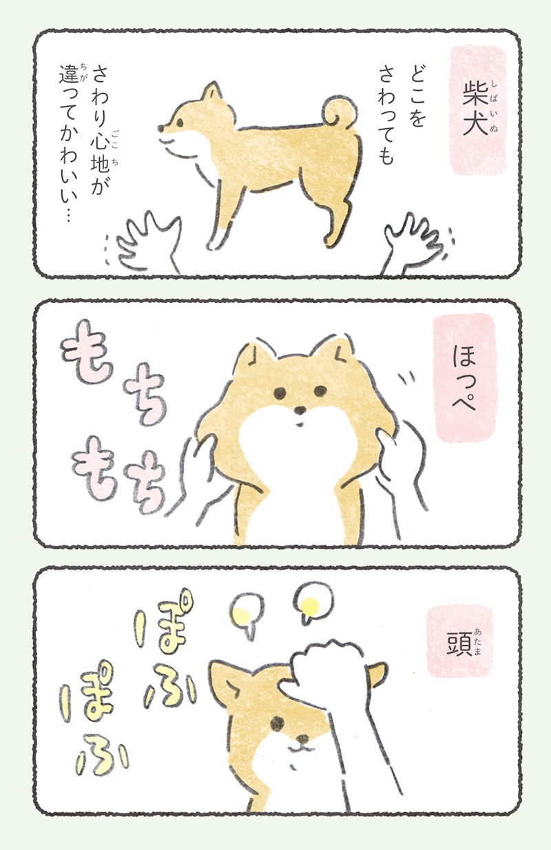 さわりごこち