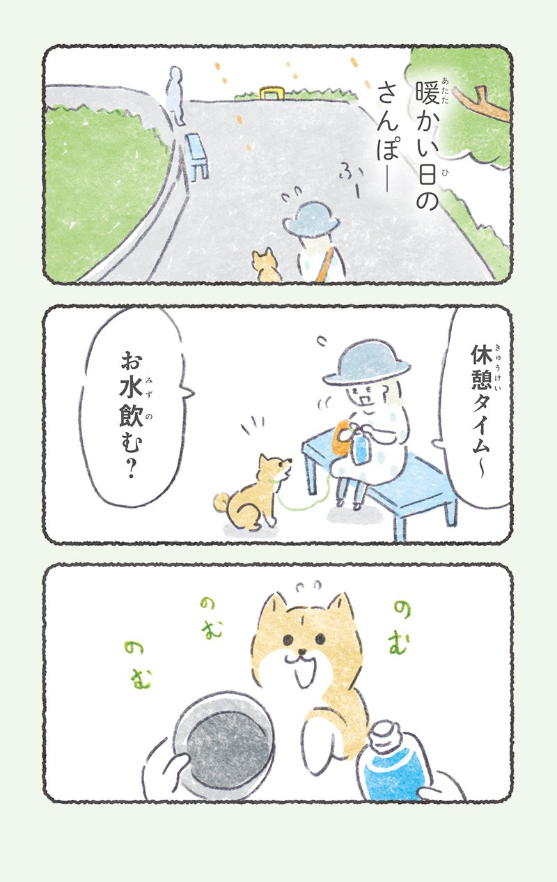 暖かい日のさんぽ