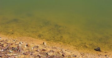 水が汚い海水浴場ランキング2024、ワースト1~3位を独占した意外な都道府県は?