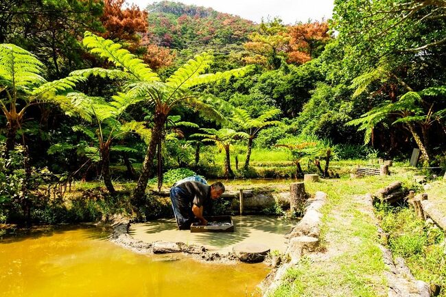 ウミガメと一緒に泳ごう！多様な生き物に出会える世界自然遺産「奄美」を自由に巡る旅