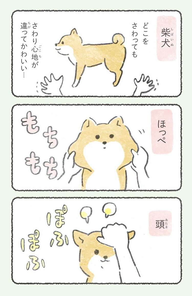 さわりごこち