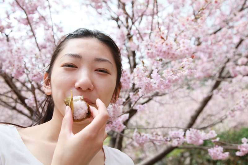 育ちがいい人はすごくきれい!和菓子の上品な食べ方