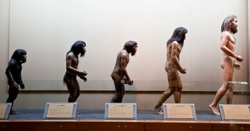 ダーウィンの「進化論」にまつわる大誤解【専門家が解説】