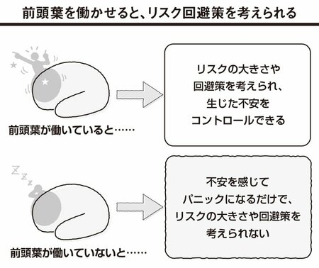 前頭葉を働かせると、リスク回避策を考えられる