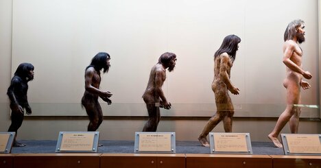 ダーウィンの「進化論」にまつわる大誤解【専門家が解説】