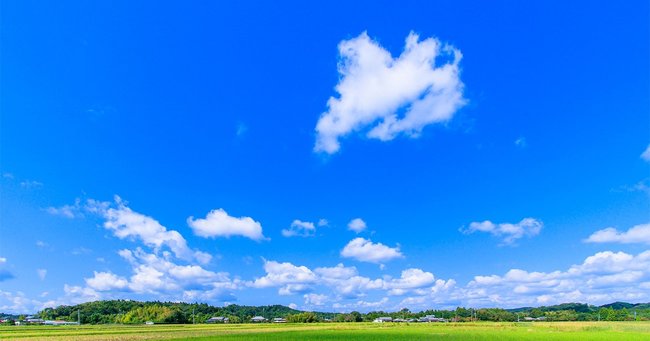 週末は田舎暮らし ゼロからはじめた「二地域居住」奮闘記