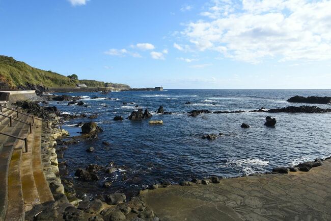  干潮時のタイドプールは海水魚が行き交う天然水族館！