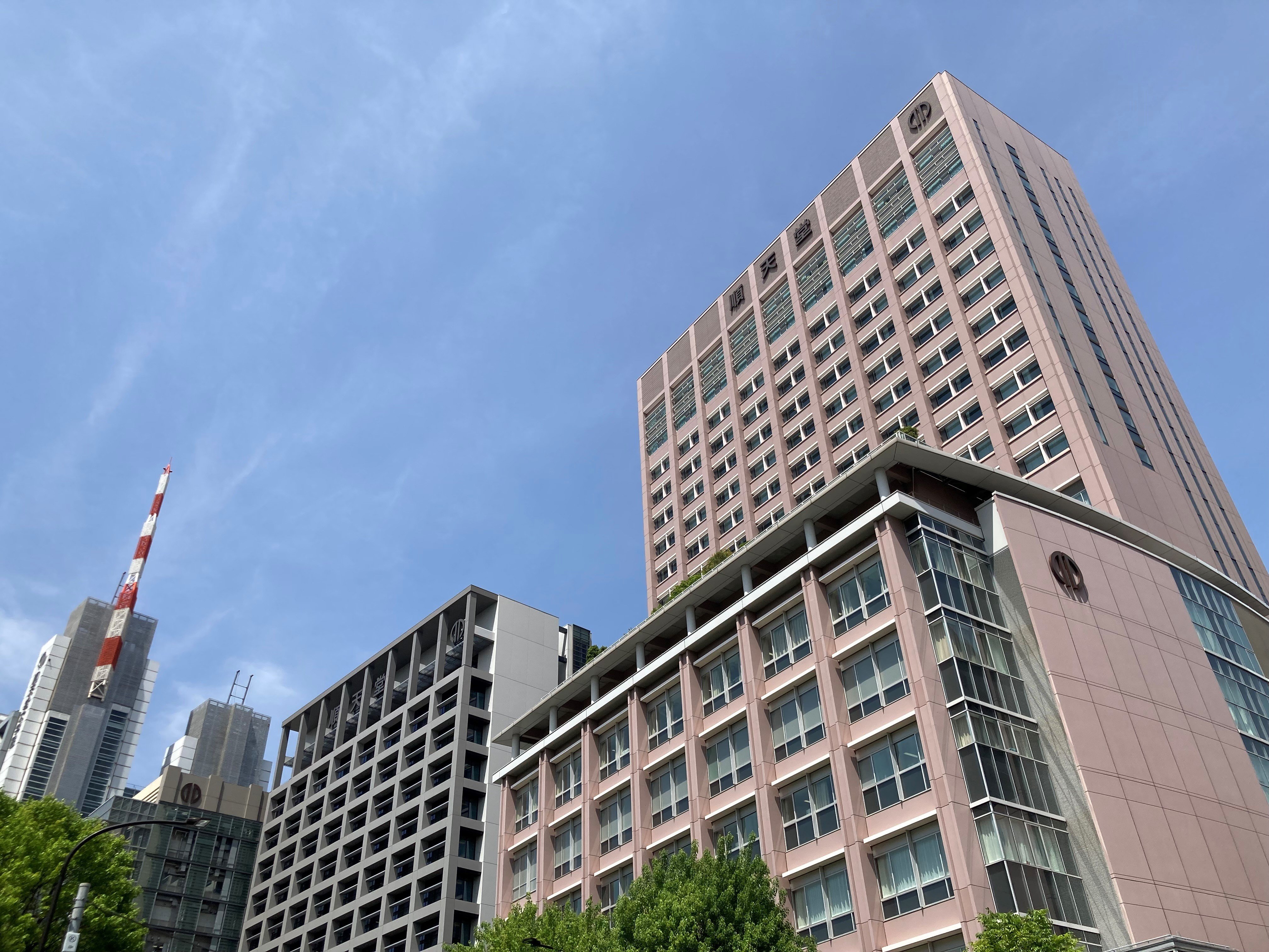 中高一貫校と大学の未来を左右する「高大接続」の現状