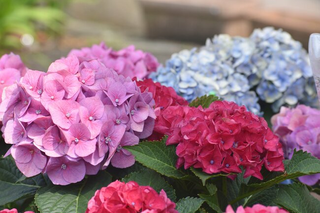 【眼科医が警告】40代から要注意な〈見え方〉の異変「夕方になると見えにくい」「明るいところがまぶしい」…他には？