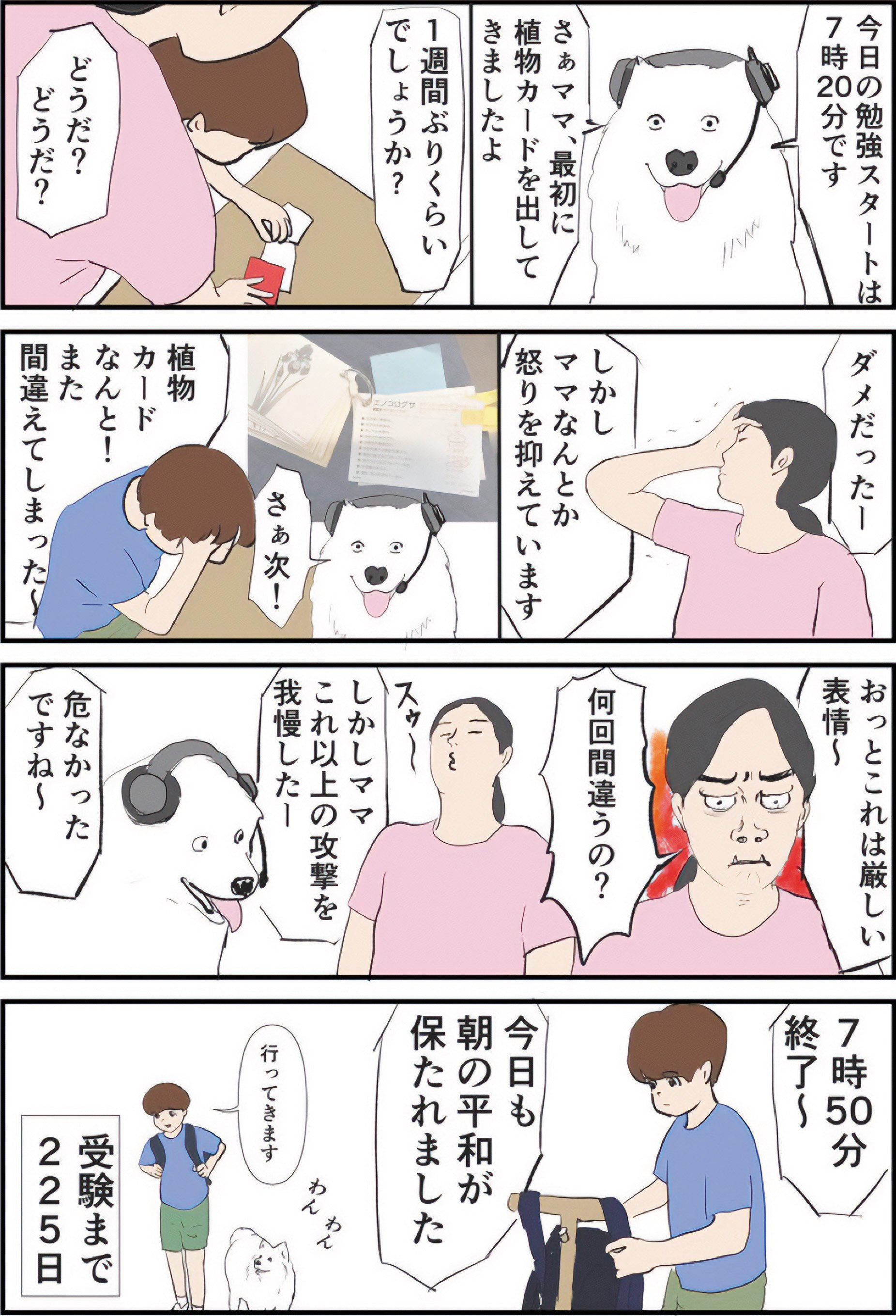 『ギャグ漫画家の母が初めて中受伴走をしてみたら』りえ太郎