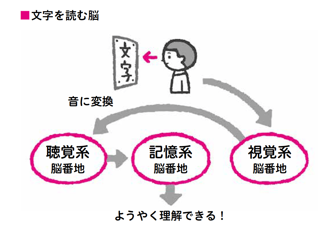 脳内科医が断言! 左利きが「最強の脳」を手にする方法