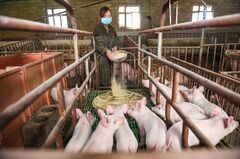中国の食糧不安、ウクライナ紛争で再燃
