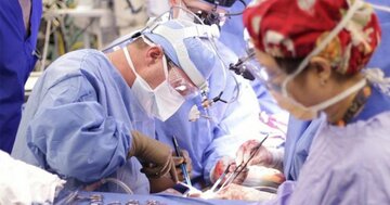 臓器移植で血液型一致が不要になる「ユニバーサル臓器」は作り出せるのか