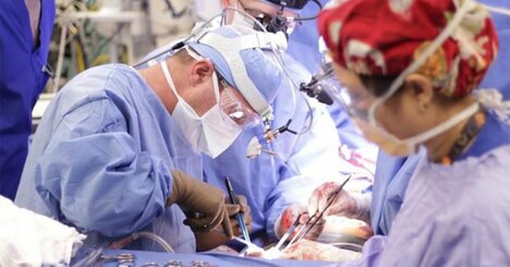 臓器移植で血液型一致が不要になる「ユニバーサル臓器」は作り出せるのか