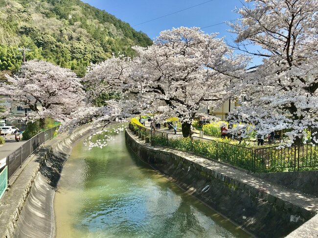 山科疏水