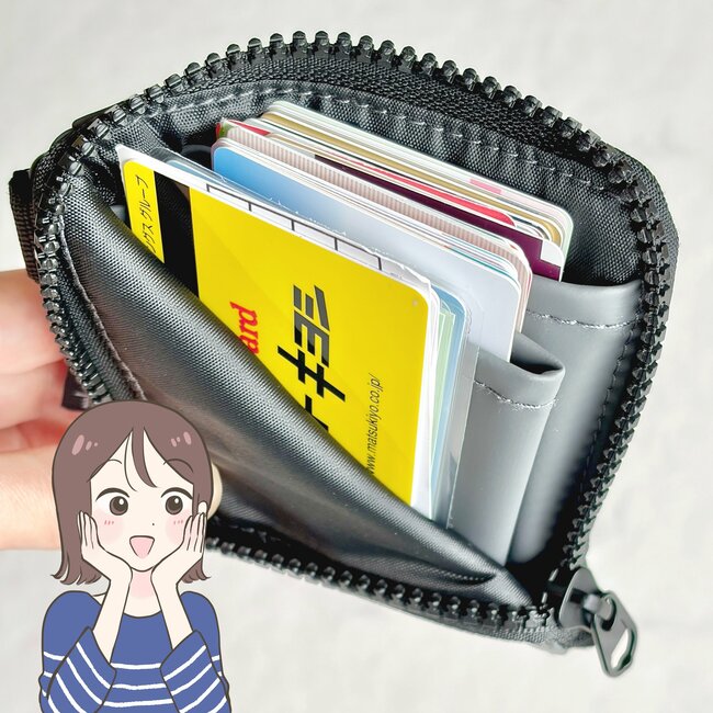 【ダイソー】カードや診察券が40枚も入った!ガバッと開く「ぺたんこ財布」スムーズに会計できて便利《購入レビュー》