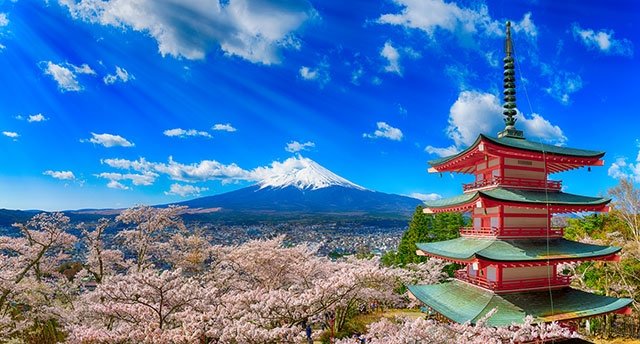 これぞ「THE日本」なシーンが広がる