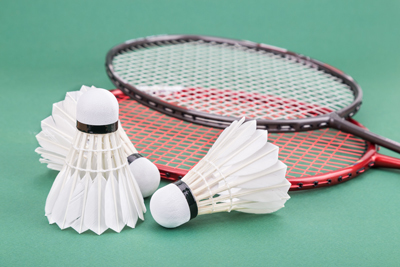 日本には胸を張って世界トップレベルと言えるスポーツがある