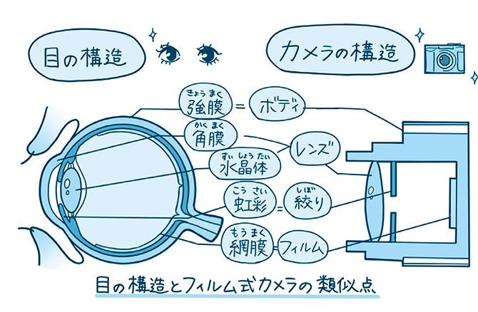【ハーバード × スタンフォードの眼科医が指南】<br />難しいことはわかりませんが、<br />目の不調について教えてください!