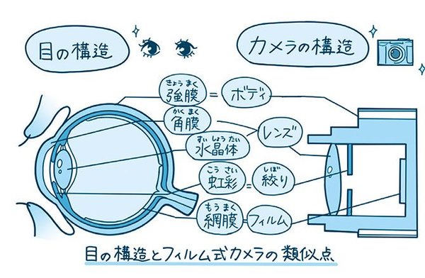 【ハーバード × スタンフォードの眼科医が指南】難しいことはわかりませんが、目の不調について教えてください！