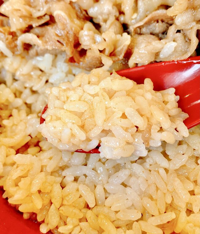 「すき家の丼のなかで1番好き」「うますぎて泣いた」すき家の“よくばりメニュー”お肉たっぷりでご飯が見えない！「週10は食べたい」