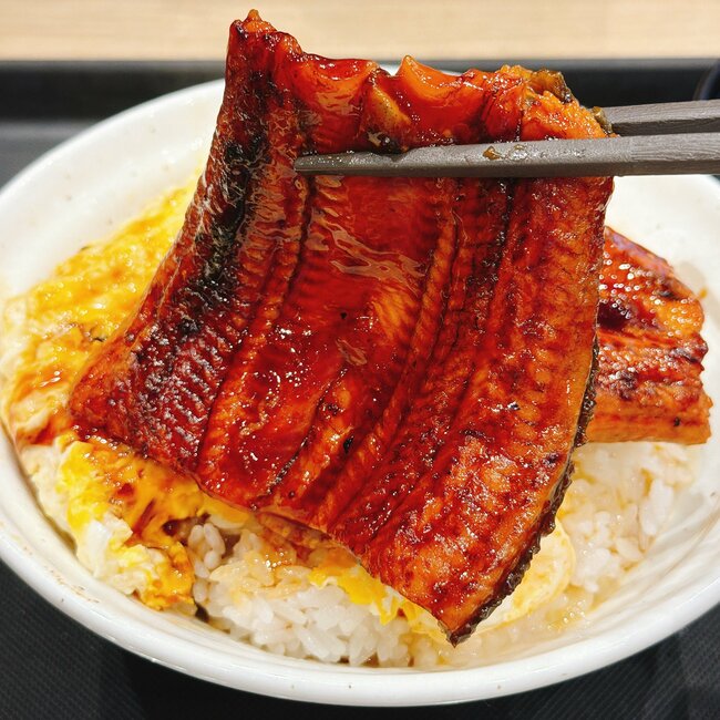 「たまらない美味しさ」「企業努力ってすごい」松屋の“ボリューム満点どんぶり”でっかい鰻がドーンとのって贅沢すぎる!「うなぎも玉子もふわふわ」「期待以上のクオリティ」【実食レビュー】