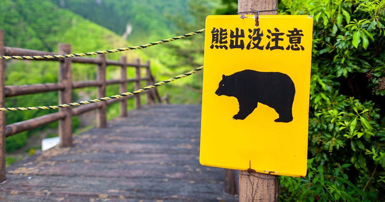 クマ出没で地方経済が深刻ダメージ...農作物被害1.8倍増!登山や温泉、紅葉キャンプに足かせの波紋