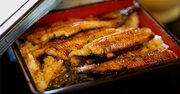 うなぎの「3P」「4P」ってどういう意味？うなぎ愛好家が教えるディープな世界