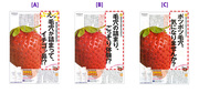 コピーを変えるだけで売上倍増も！通販成功の決め手は「商品力×広告力」
