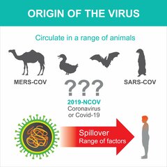 新型コロナウィルスは、中国の研究所で発生したのか？自然に発生したのか？その疑問は決着していた