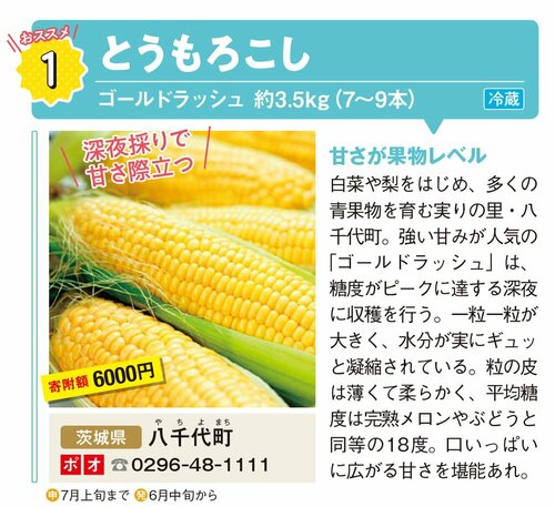 茨城県八千代町のとうもろこし