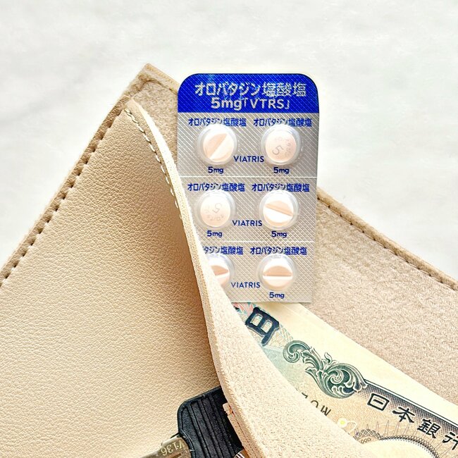ミニ財布にちょうどいい…！ダイソーの「お札が入るキーケース」カードが10枚も収納できて天才すぎる！《購入レビュー》