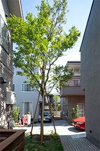 100年後を見据えた新たな住まいと暮らし方