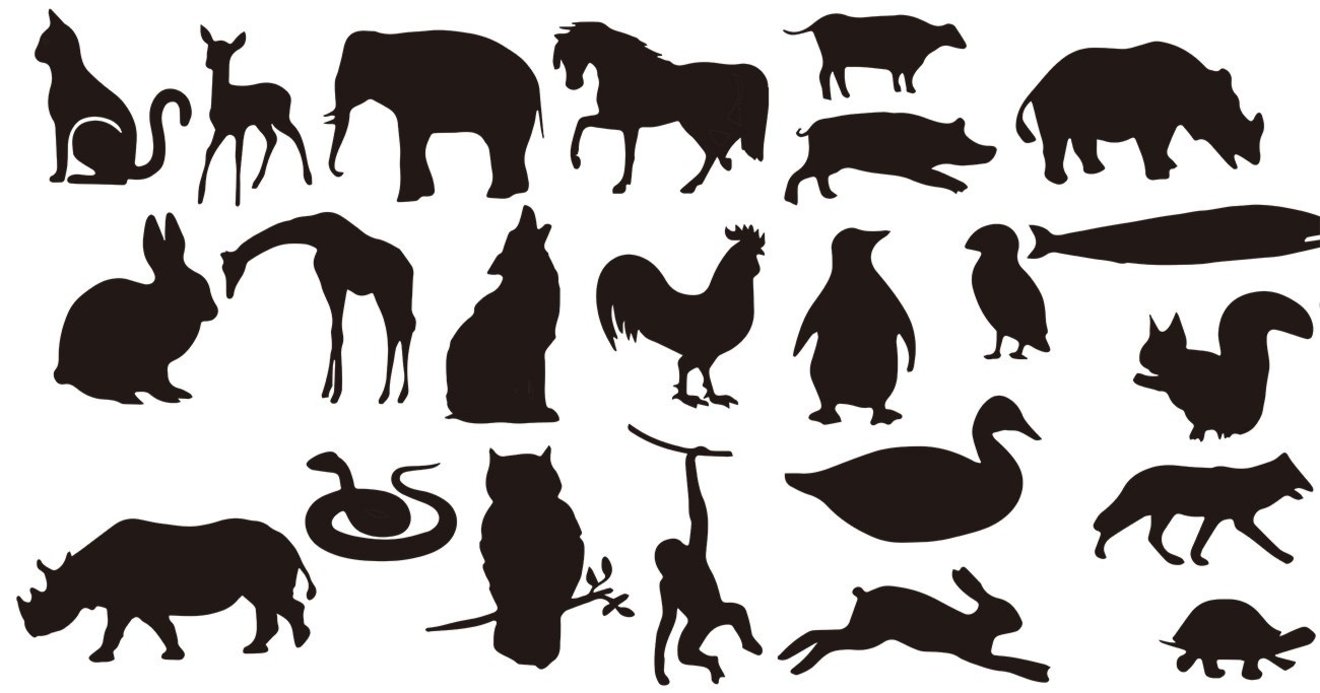 夏までにこっそり絶対やせる コロナgw特集 あなたは ペリカン ペンギン ゴリラ 知らず知らずのうちに動物歩きしていませんか イケてない歩き方の3タイプ 医者が絶賛する歩き方 やせる3拍子ウォーク ダイヤモンド オンライン