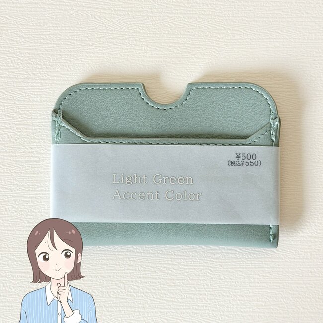 まとめ買いしてよかった!3COINSの「高見えカードケース」薄いのに9枚も入って使い勝手バツグン!《購入レビュー》