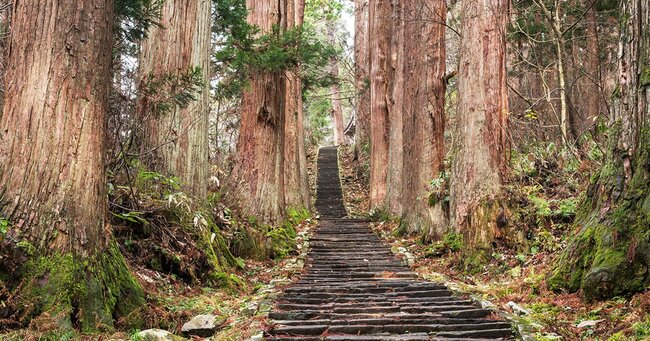 晩秋の出羽三山神社